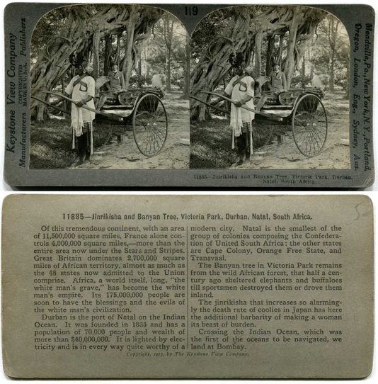 Jinrikisha and Banyan Tree