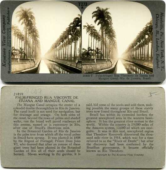 Palm-fringed Canal and Avenue