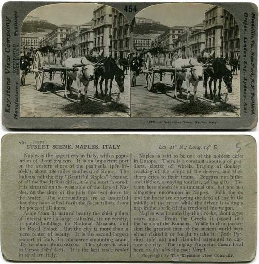 Street Scene with Ox Carts, Naples