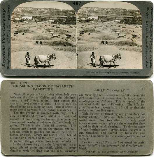 Threshing Floor of Nazareth
