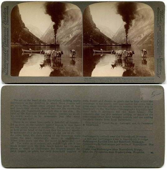 Fjord with Steamer and Cows