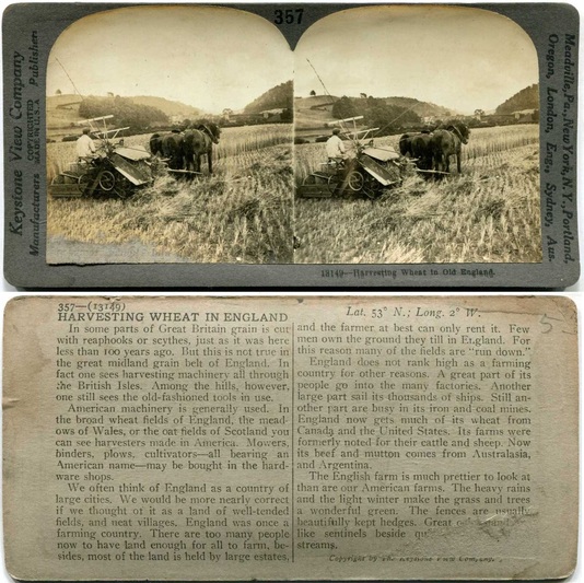 Harvesting Wheat Field