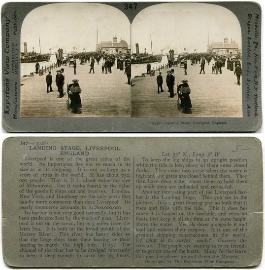 Landing Stage with Ships and Crowds