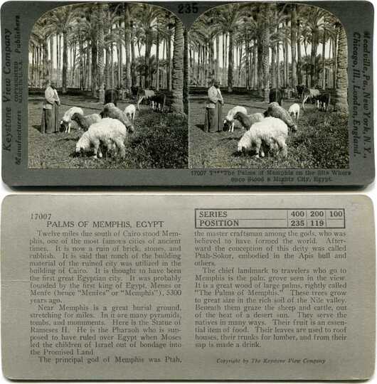Palm Grove with Herder and Sheep