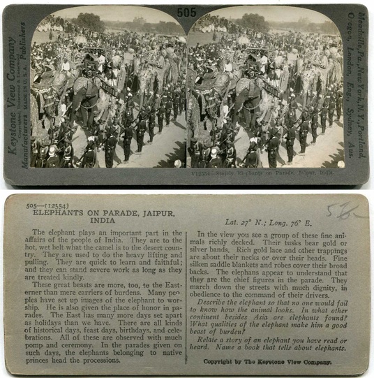Elephants on Parade, Jaipur
