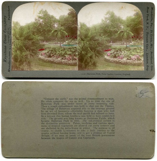 Battersea Park Palm Garden