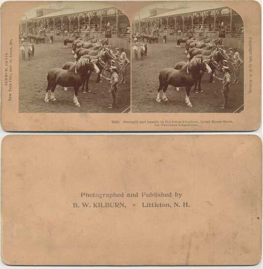 Horse Show at Louisiana Purchase Expo