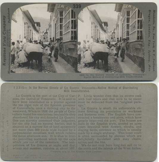 Street Milk Delivery by Cow