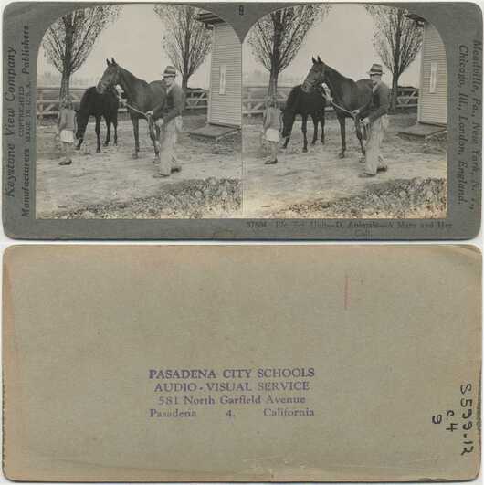 Man, Child, Mare and Colt