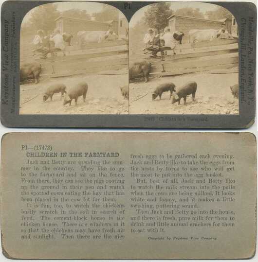 Children in a Farmyard