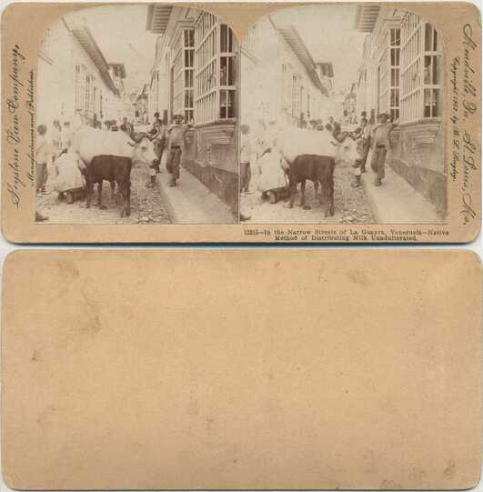 Street Milk Distribution with Cow & Calf