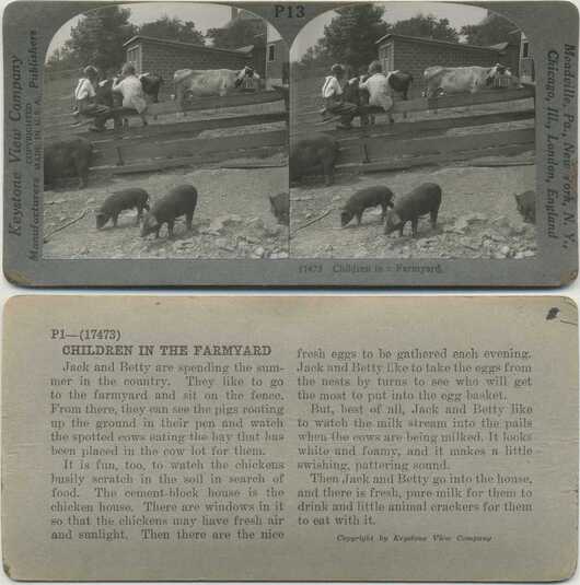 Children and Animals in a Farmyard