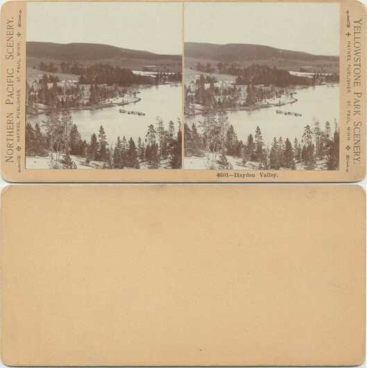 Hayden Valley Yellowstone