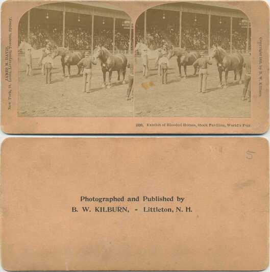Exhibit of Blooded Horses