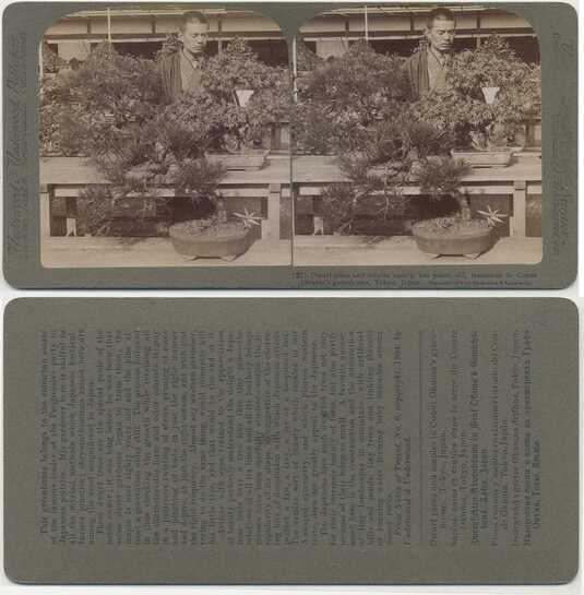 Man with Dwarf Pines and Maples