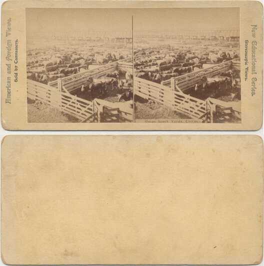 Union Stock Yards Cattle Pens