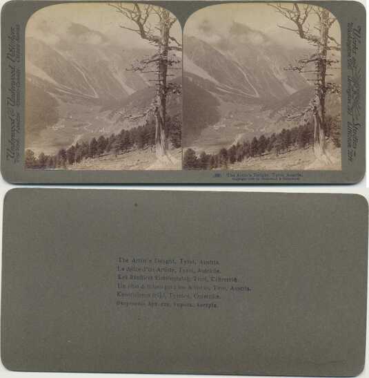 Mountain Valley with Tree, Tyrol