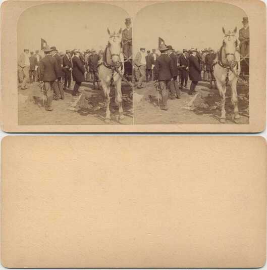 Public Gathering with Carriage