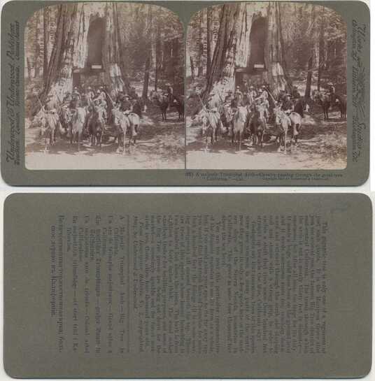 Cavalry Riding Through Tree Arch