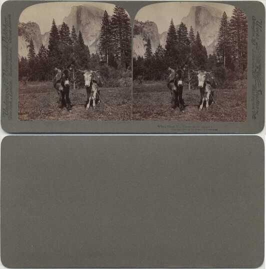 Half Dome with Donkeys