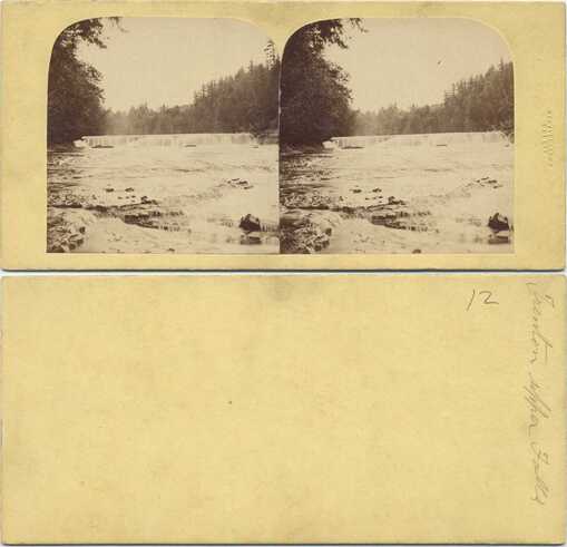 Forested River Waterfall