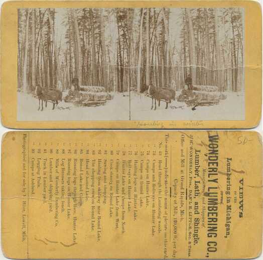 Log Hauling in Winter Forest