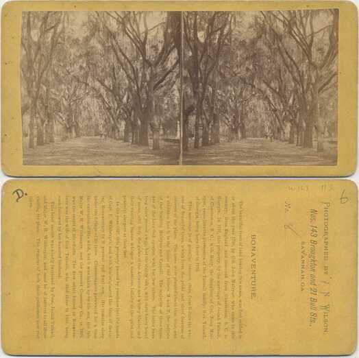 Bonaventure Oak Alley