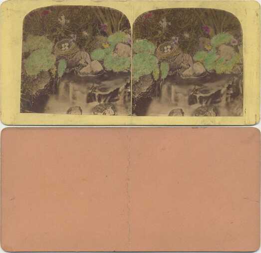 Bird's Nest and Waterfall Scene