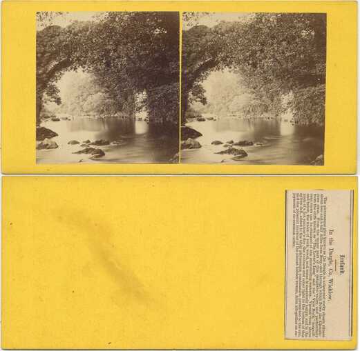 River in a wooded glen