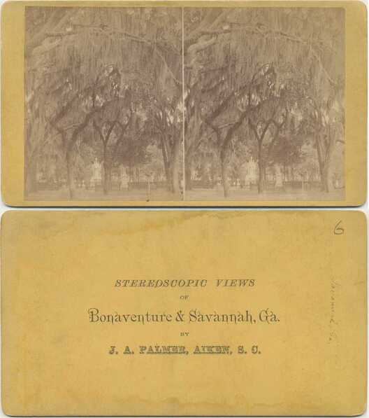 Moss-draped Trees & Monuments