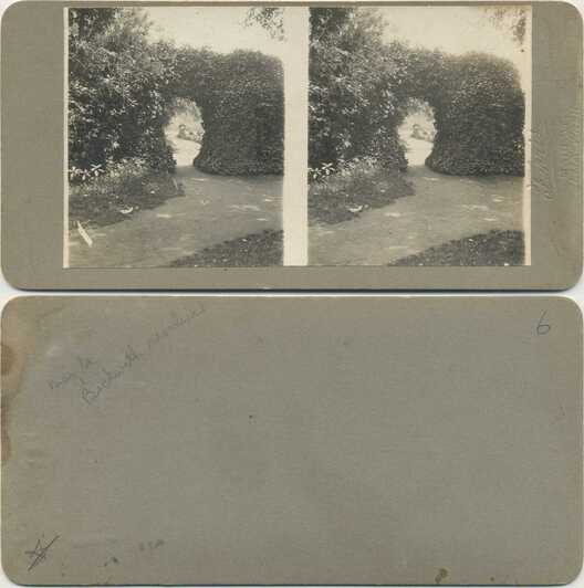 Foliage Archway in Garden
