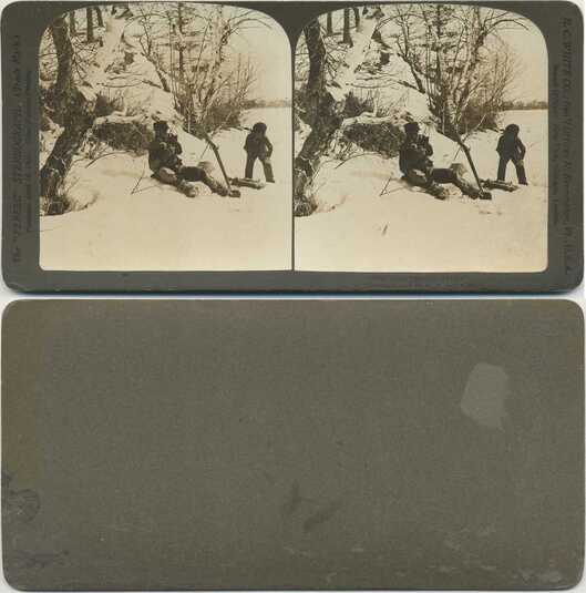 Hunters & Prey in Winter Forest