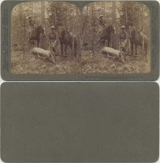 Women Hunters with Shot Elk