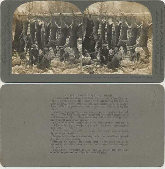 Hunters and Their Big Game Kill