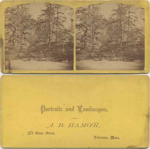 Wooded Landscape with Chimney