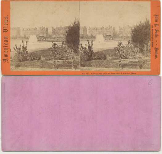 Public Garden View with Fountain