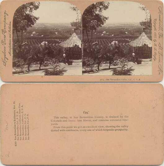 Valley View, Orchards, Hut & Horse