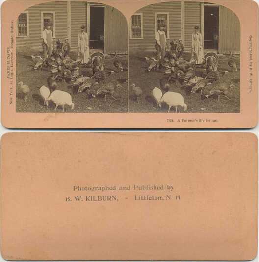 Farm Family and Turkeys