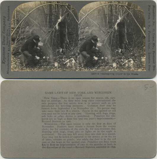 Hunters Preparing Thanksgiving Deer