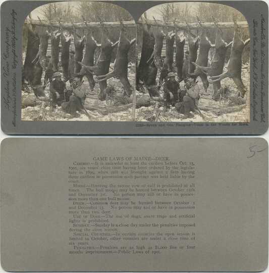 Hunters with Seven Deer Carcasses