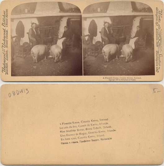 People and Pigs at the Hearth