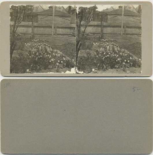 Flower Garden by Wooden Fence
