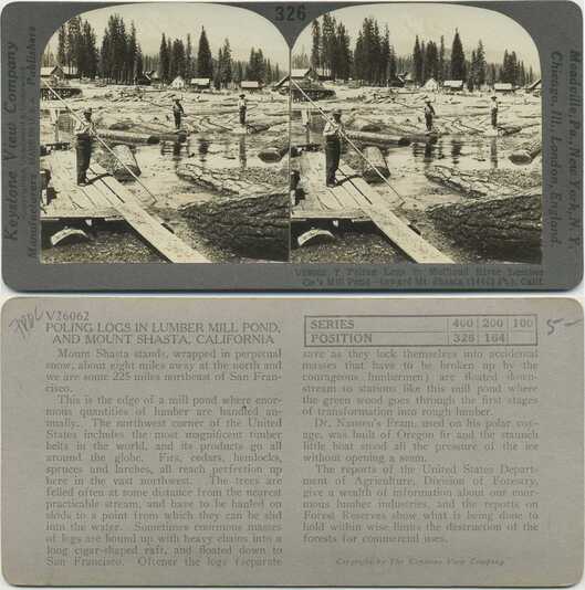 Poling Logs in Lumber Mill Pond