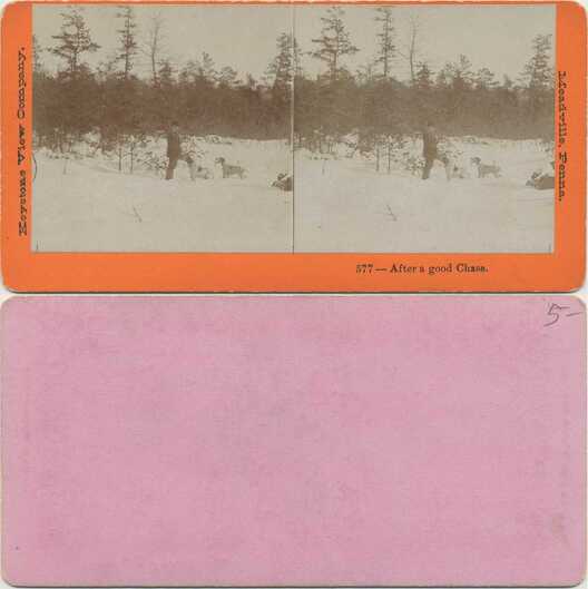 Hunter and Dogs in Winter Snow