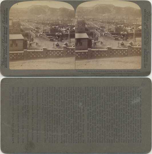 Port Arthur Docks and Fortified Heights