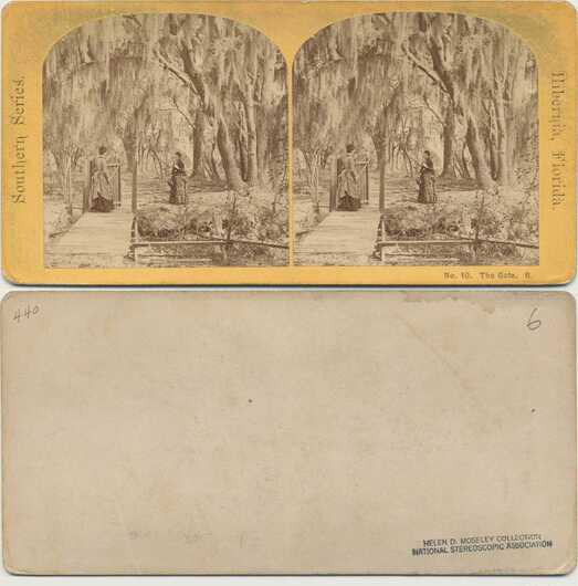 Women in Moss-Draped Woods
