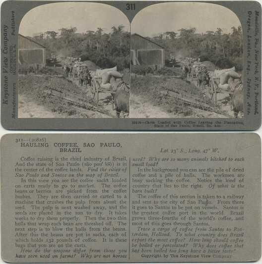 Hauling Coffee Sacks on Carts