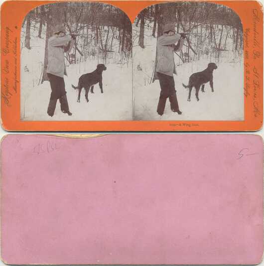 Hunter and dog in snowy woods