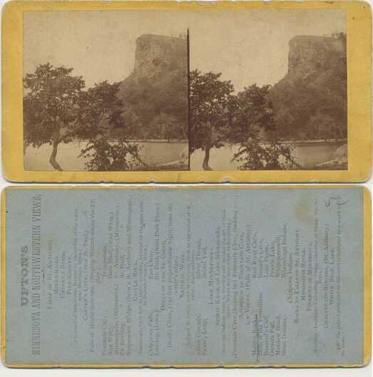 Pine Cooley Bluff
