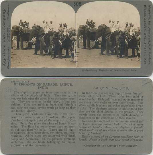 Elephants on Parade